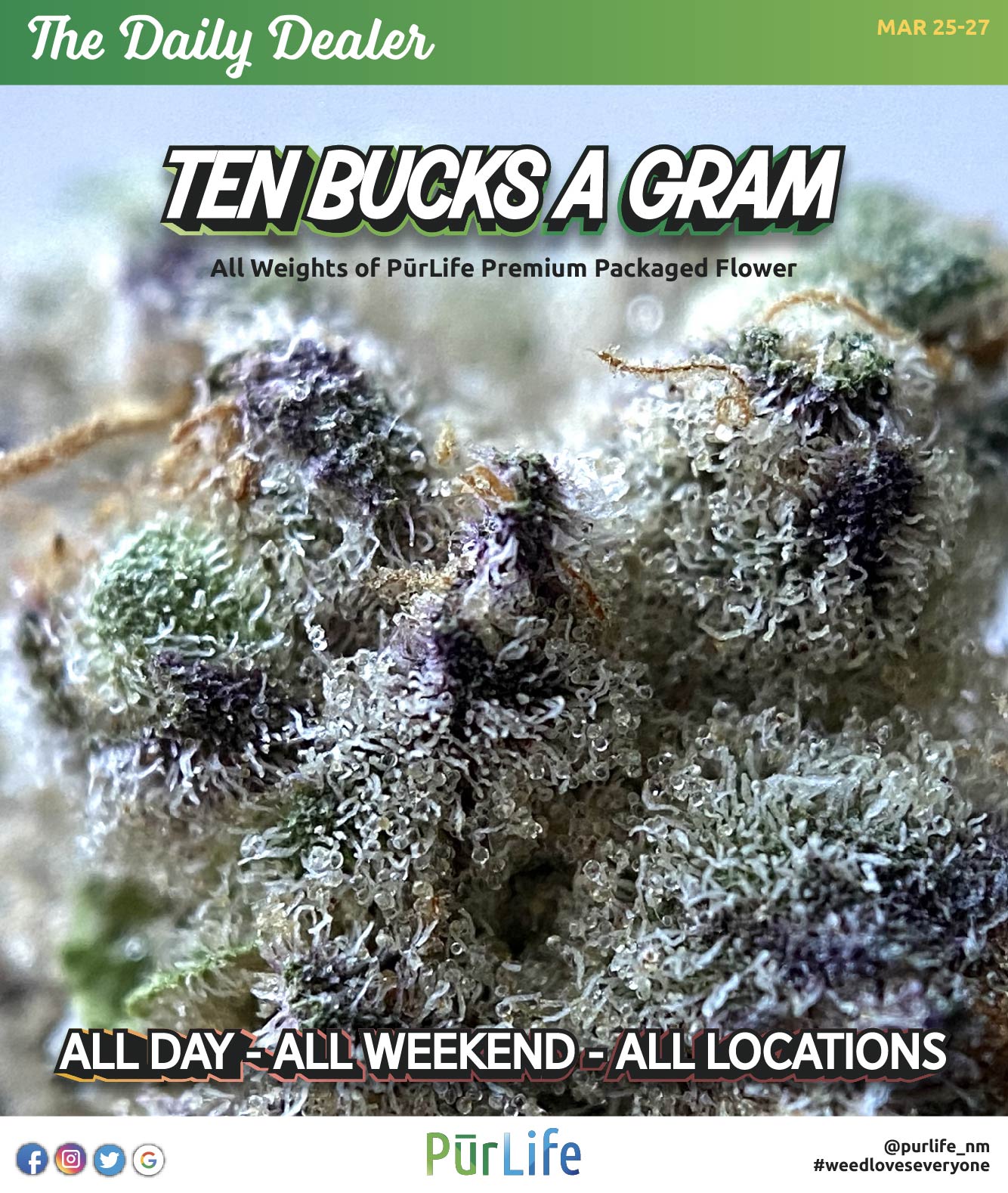 The Daily Dealer March 2527 PurLife