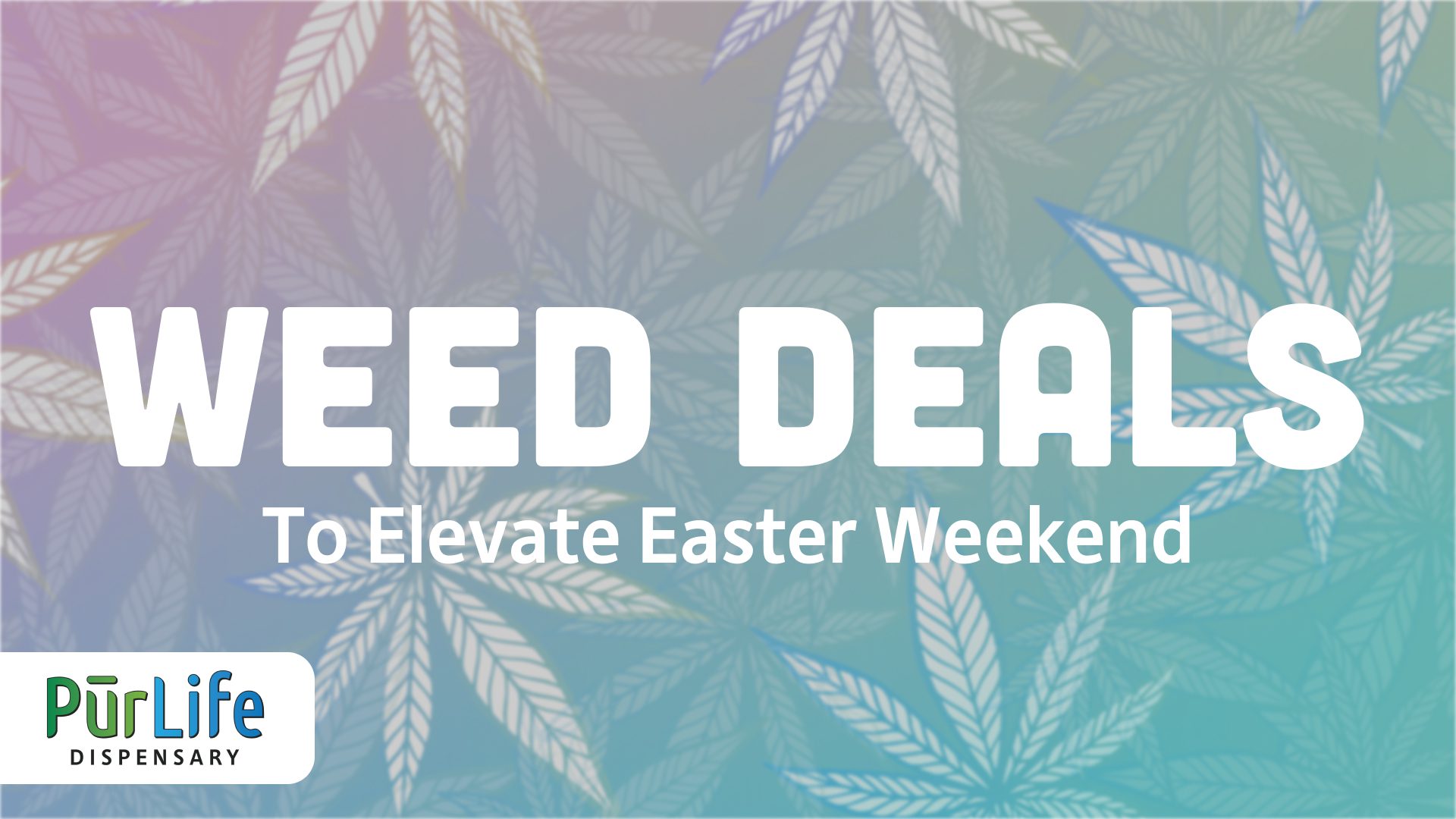 🪺Chick out our dispensary for some eggcellent Easter Deals!🪺 PurLife